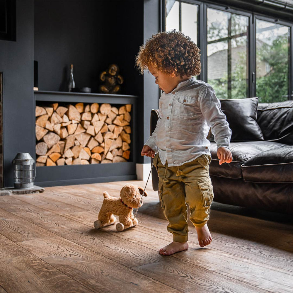 Little Bird Told Me - Pull-Along Dog - Dexter (6m+)-Pull-Alongs- | Natural Baby Shower