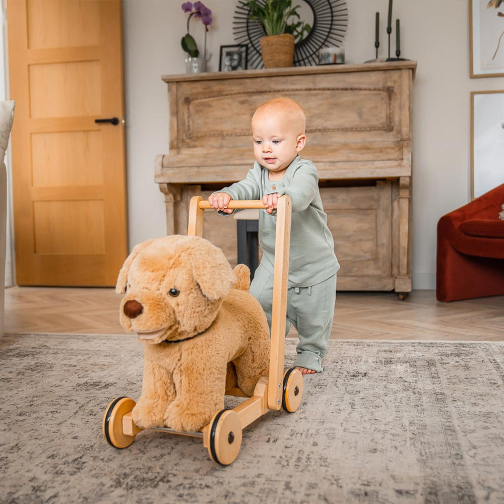 Little Bird Told Me - Push-Along Dog - Dexter (12m+)-Push-Alongs- | Natural Baby Shower