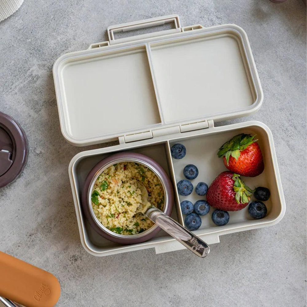 Citron Rectangle Lunchbox - Vehicles-Food Storage-Vehicles- | Natural Baby Shower