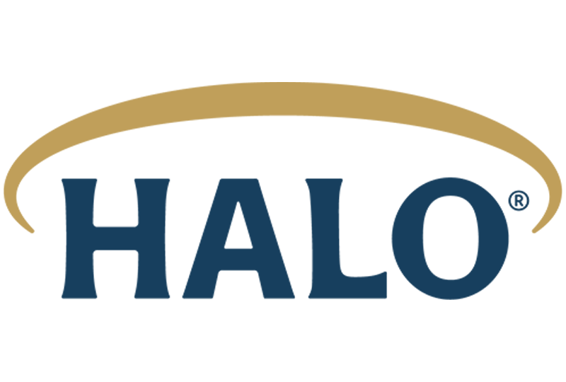 halo-transparent-Natural Baby Shower