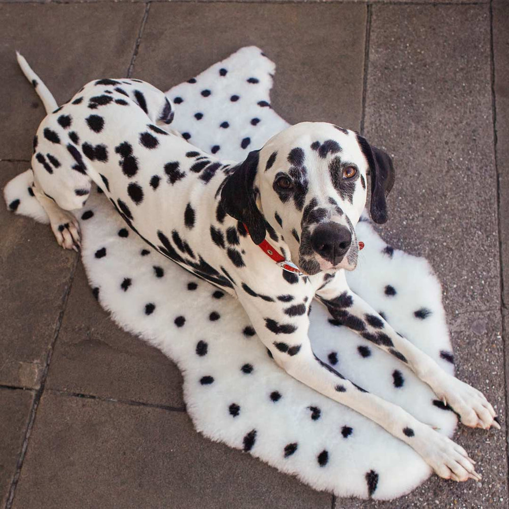 BINIBAMBA Merino Sheepskin Wrigglemat - Dalmatian Dove-Rugs- | Natural Baby Shower