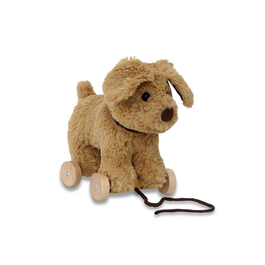 Little Bird Told Me - Pull-Along Dog - Dexter (6m+)-Pull-Alongs- | Natural Baby Shower