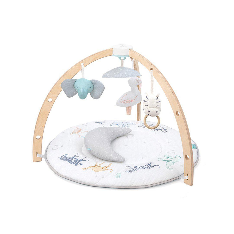 aden + anais Play + Discover Activity Gym - Rising Star-Play Gyms- | Natural Baby Shower