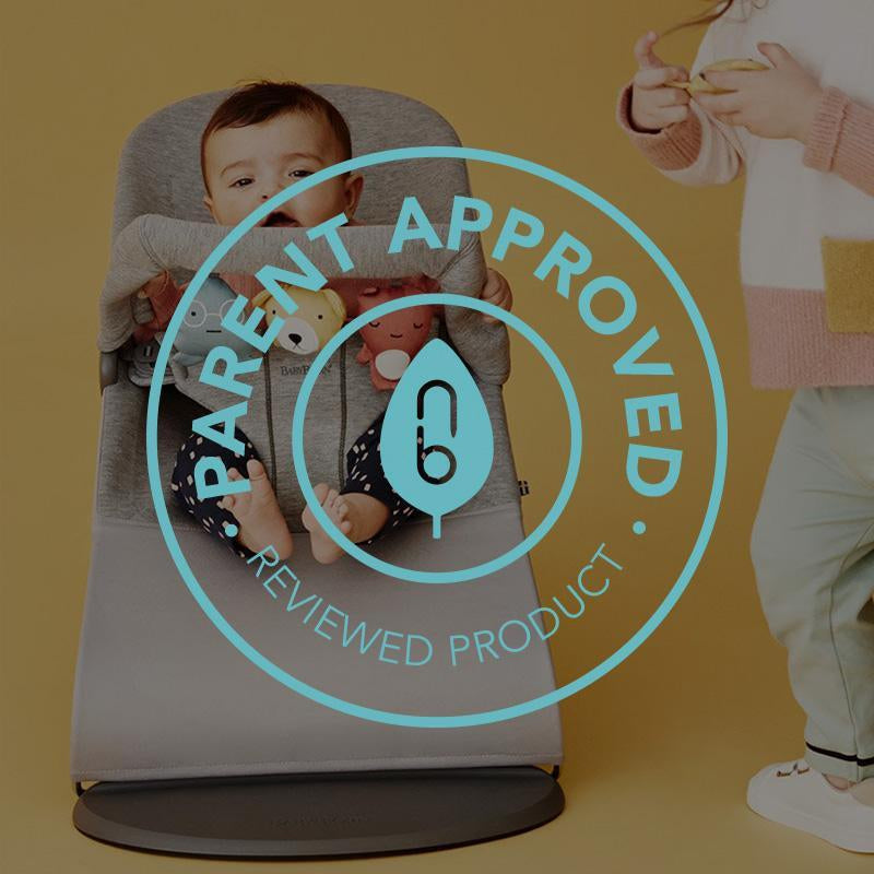 BabyBjorn Baby Bouncer Bliss Review - Natural Baby Shower