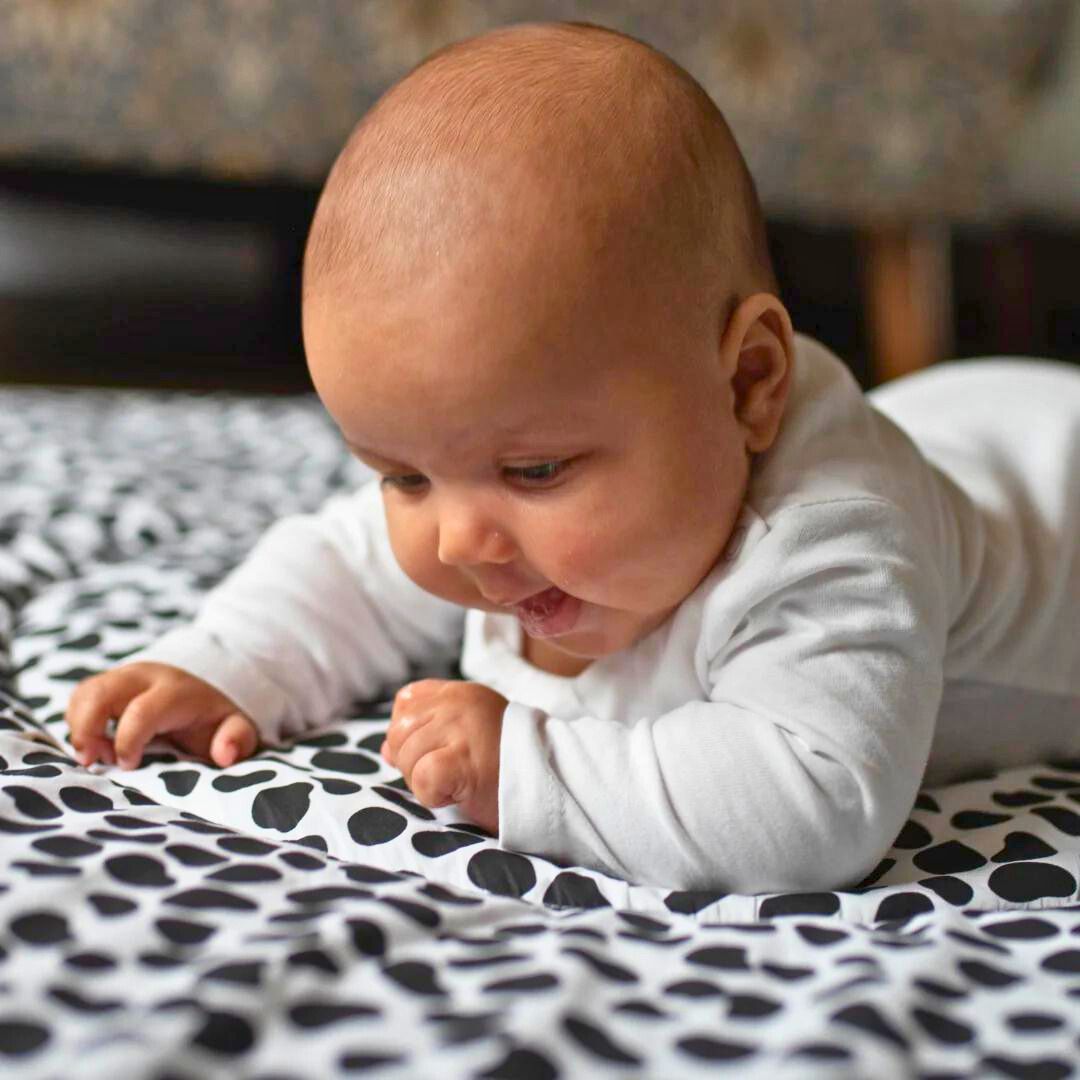 Learn More About the Etta Loves Collection - Natural Baby Shower