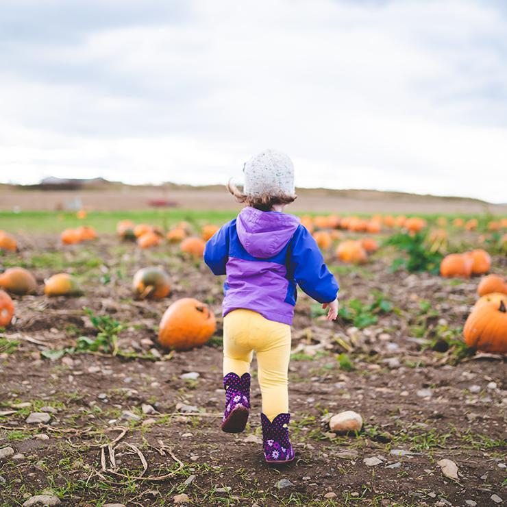 October Bump + Beyond news | Natural Baby Shower