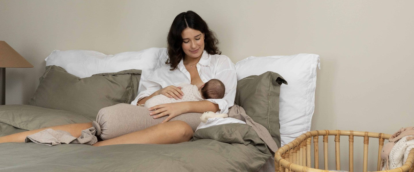 bbhugme Nursing Pillows