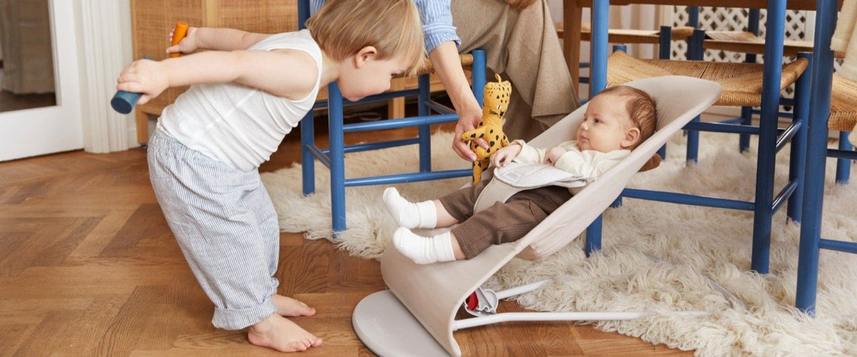BabyBjörn Bouncer