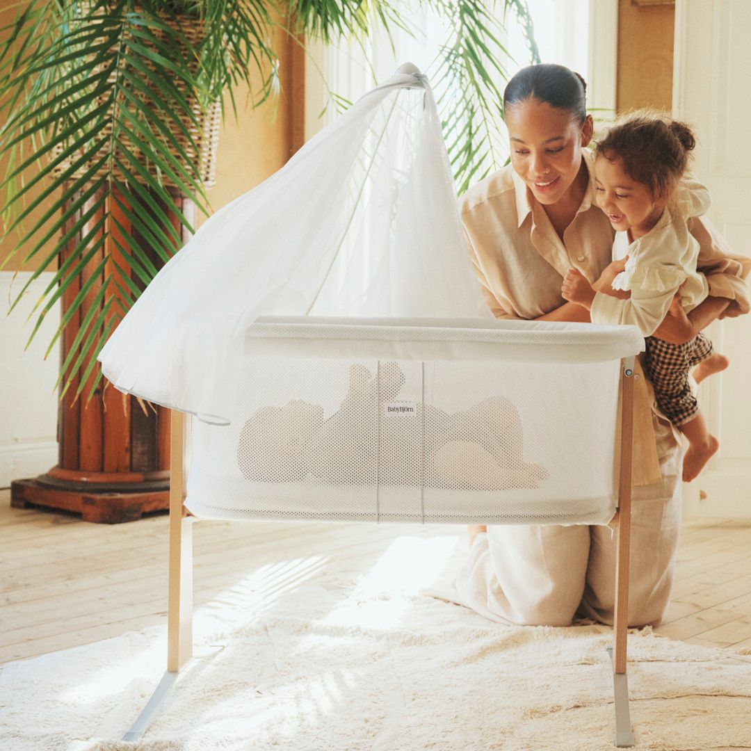 Baby Bjorn Cradle Banner Mobile