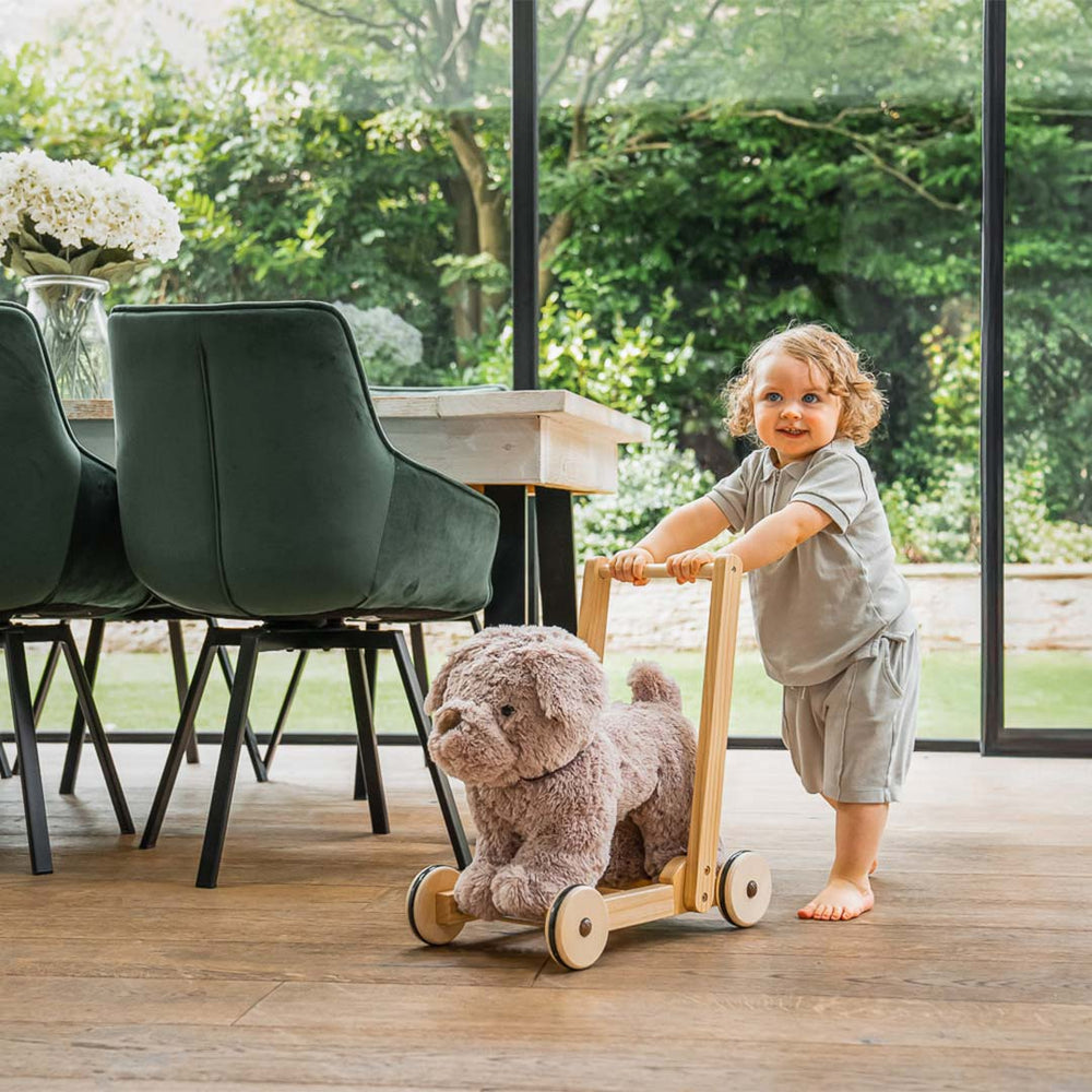 Little Bird Told Me - Push-Along Dog - Bailey (12m+)-Push-Alongs- | Natural Baby Shower