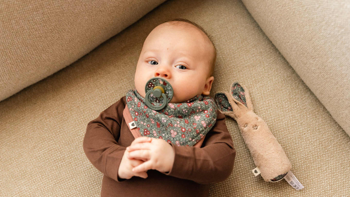 Bibs-web | Natural Baby Shower