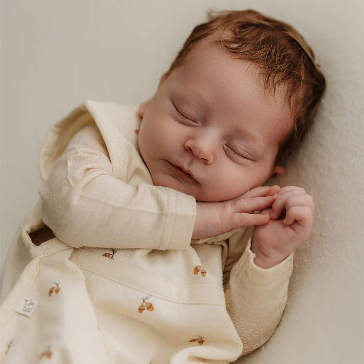Merino Kids Go Go Sleeping Bag - All Seasons - Acorn Print-Sleeping Bags-Acorn Print-2-4y | Natural Baby Shower