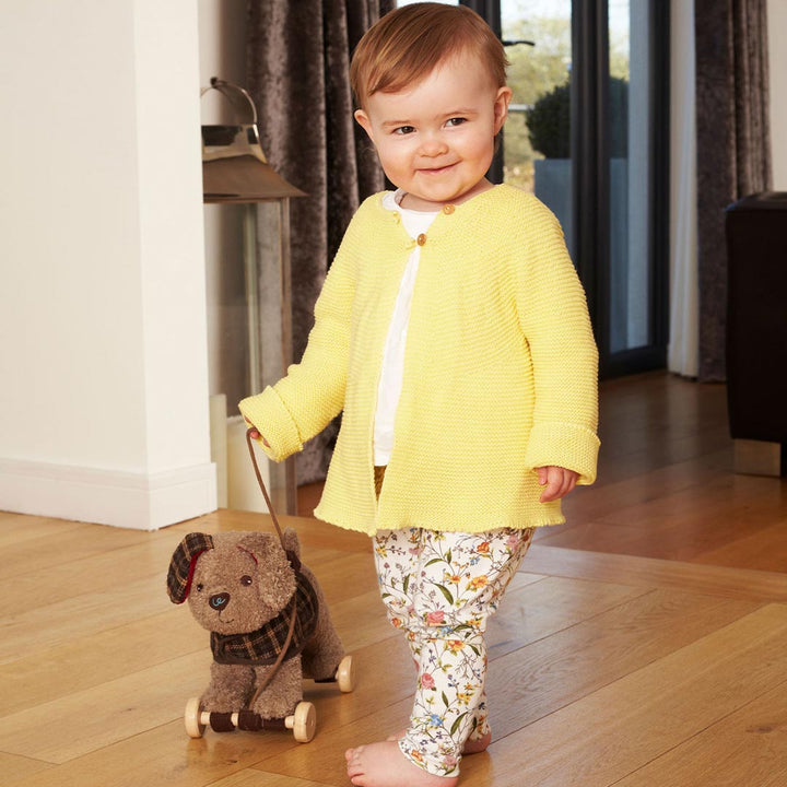 Little Bird Told Me - Pull-Along Pup - Percy (6m+)-Pull-Alongs- | Natural Baby Shower