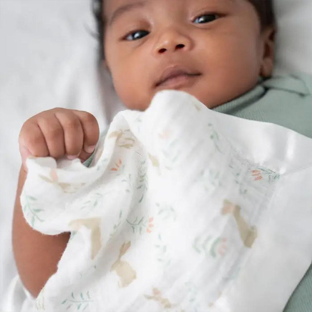 aden + anais Essentials Cotton Muslin Security Blankets - 2 Pack - Blushing Bunnies-Blankets-Blushing Bunnies- | Natural Baby Shower