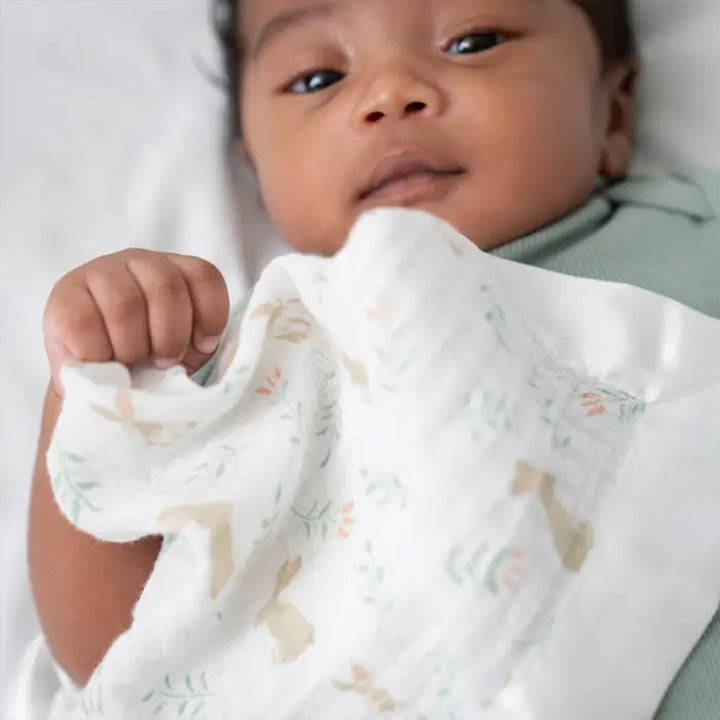 aden + anais Essentials Cotton Muslin Security Blankets - 2 Pack - Blushing Bunnies