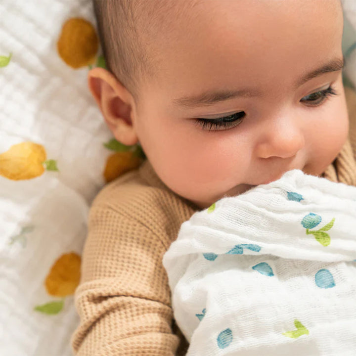aden + anais Organic Cotton Swaddles - 2 Pack - Fresh Fruit-Swaddling Wraps-Fresh Fruit- | Natural Baby Shower