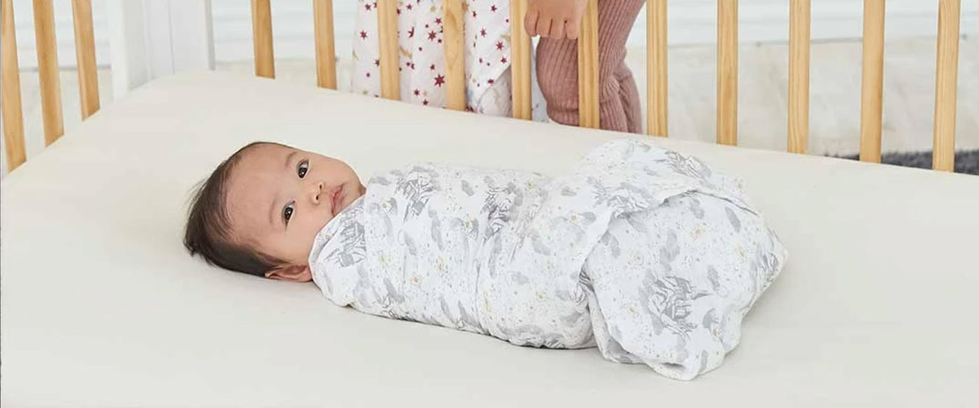 Swaddles Swaddle Wraps by aden & anais Natural Baby Shower