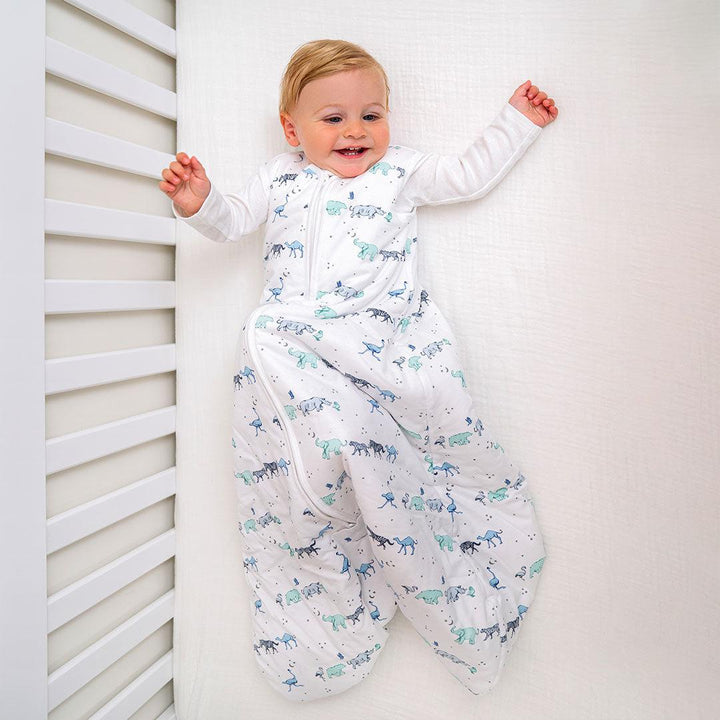 aden + anais Winter Sleeping Bag 2.5 TOG - Rising Star-Sleeping Bags-Rising Star-0-6m | Natural Baby Shower