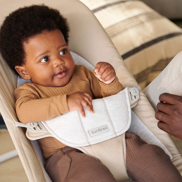 BabyBjorn Travel Bag For Baby Bouncer