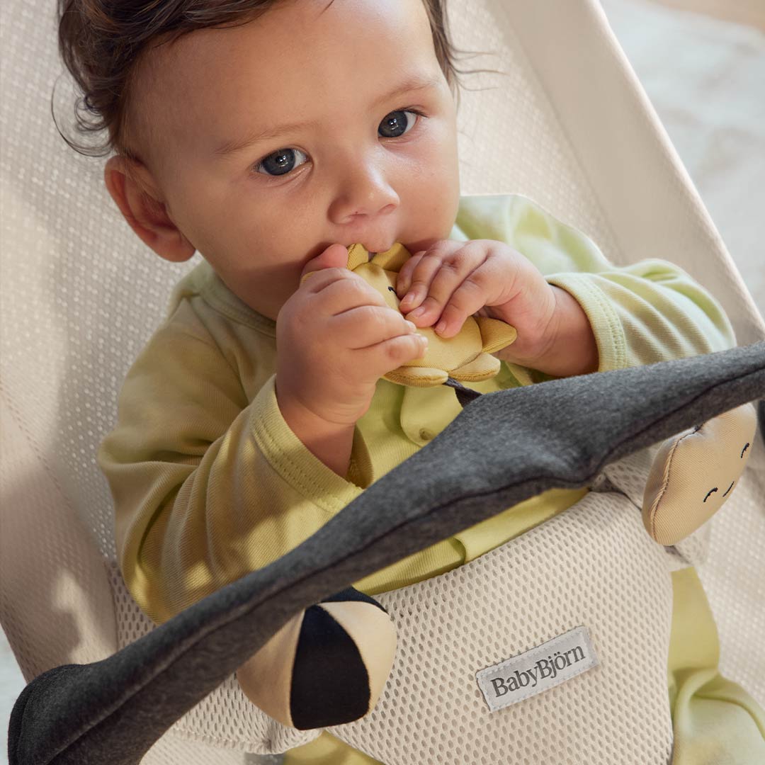 BabyBjörn Sunny Friends Toy Bar - Charcoal Grey-Baby Bouncer Toy Bars- | Natural Baby Shower