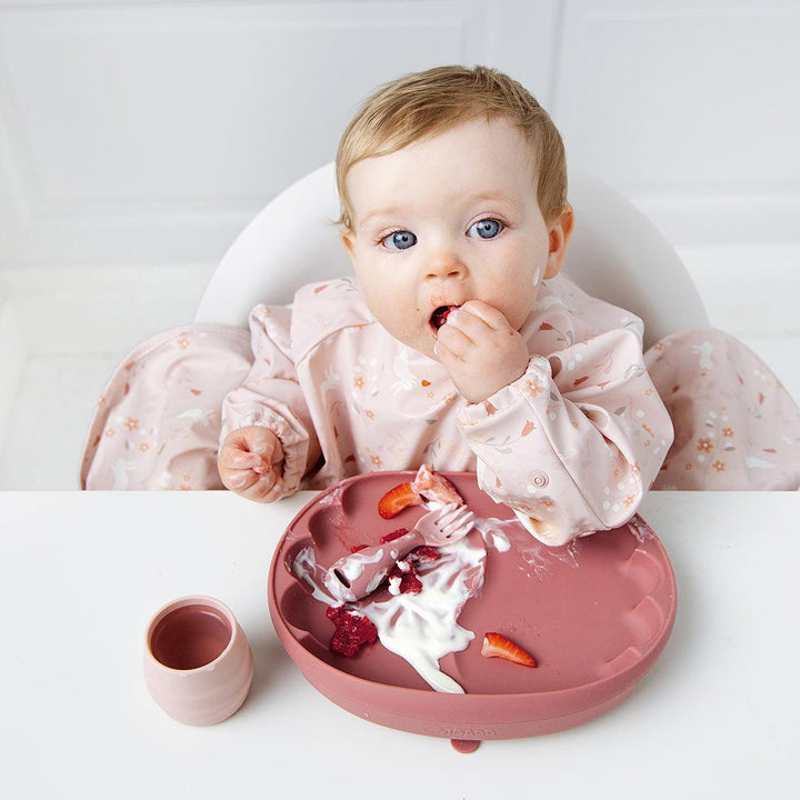 Bibado The Learning Curve™ Plate - Blush-Plates-Blush-One Size | Natural Baby Shower