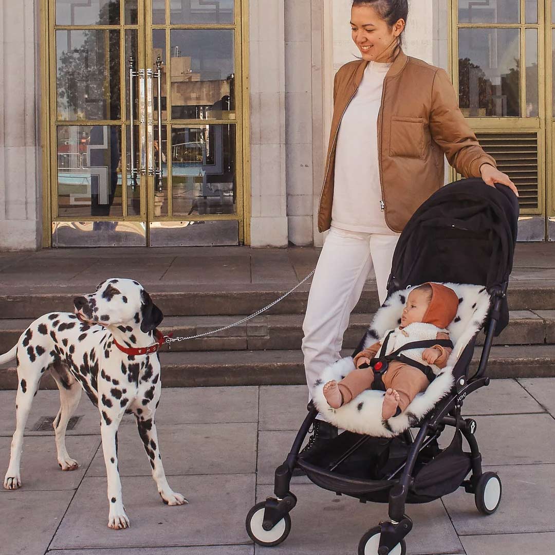 BINIBAMBA Merino Sheepskin Snuggler - Dalmatian Dot-Seat Liners- | Natural Baby Shower