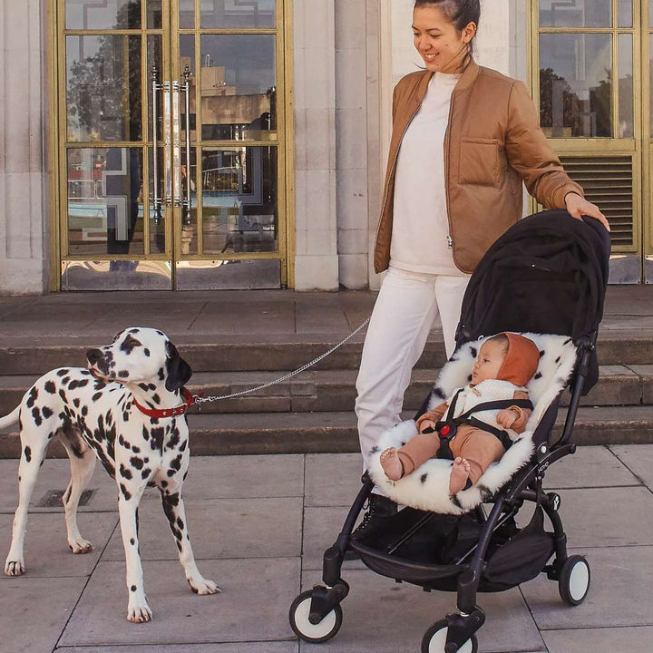 BINIBAMBA Merino Sheepskin Snuggler - Dalmatian Dot-Seat Liners- | Natural Baby Shower