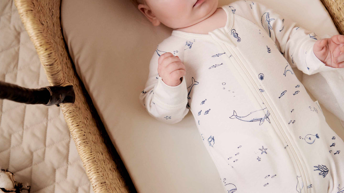 clothes-shoes-collection-banner_78d87568-60ec-4280-bb86-a1c0c1ab84db | Natural Baby Shower