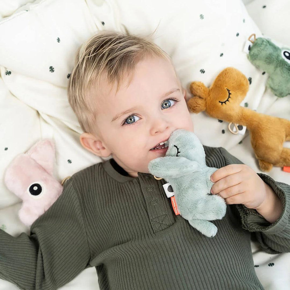 Done by Deer Tiny Sensory Rattle Nozo - Nozo Powder-Rattles-Nozo Powder-0+ | Natural Baby Shower