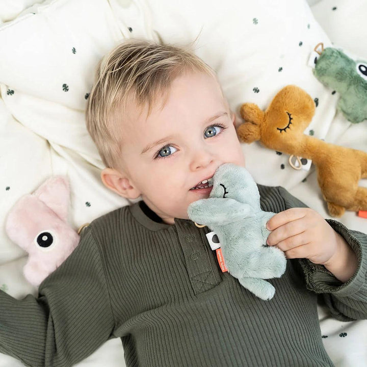 Done by Deer Tiny Sensory Rattle Nozo - Nozo Powder-Rattles-Nozo Powder-0+ | Natural Baby Shower