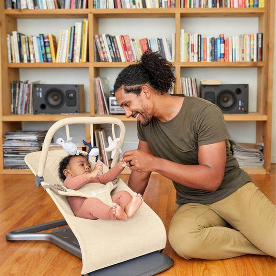 ergobaby accessories