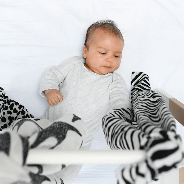 Etta Loves Sensory Starter Kit - Animals