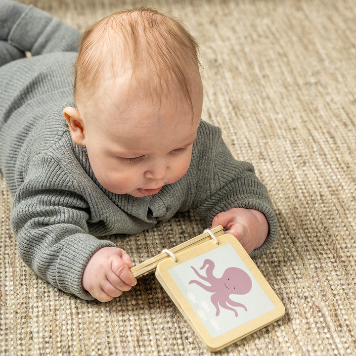 Jabadabado Play And Learn Box - 6-12 Months