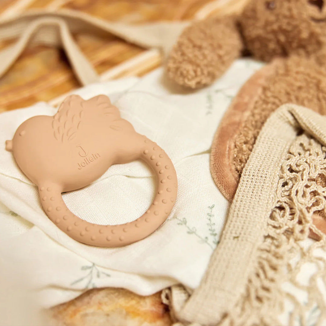 Jollein Teething Ring - Lovely Birds
