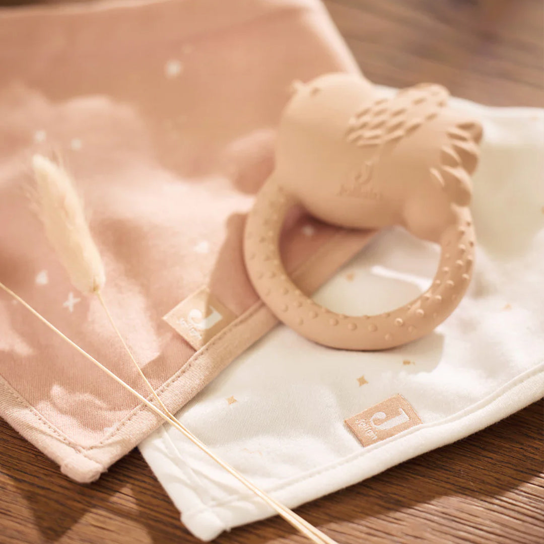 Jollein Teething Ring - Lovely Birds