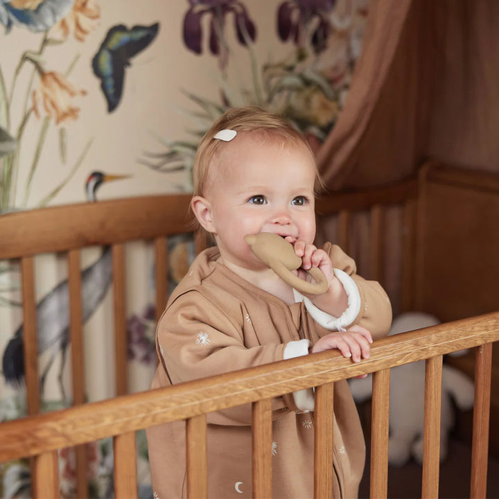 Jollein Teething Ring - Teddy Bear Biscuit