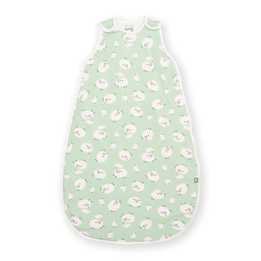 Kite Sleeping Bag - Baa Baa Quack-Sleeping Bags-Baa Baa Quack-0-6m | Natural Baby Shower