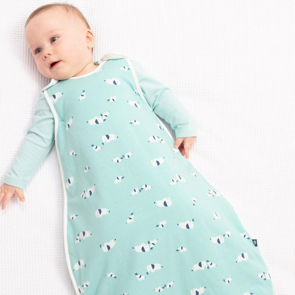 Kite Sleeping Bag - Ele Time-Sleeping Bags-Ele Time-0-6m | Natural Baby Shower