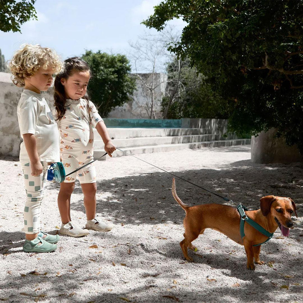 Lassig Short Sleeve Sunsuit - Beach Dog - Orange/Dark Sea-Swimsuits-Beach Dog - Orange/Dark Sea-12-18m | Natural Baby Shower