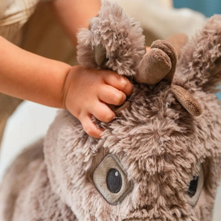Little Bird Told Me - Push-Along - Donkey - Norbert-Push-Alongs-Norbert-12m+ | Natural Baby Shower
