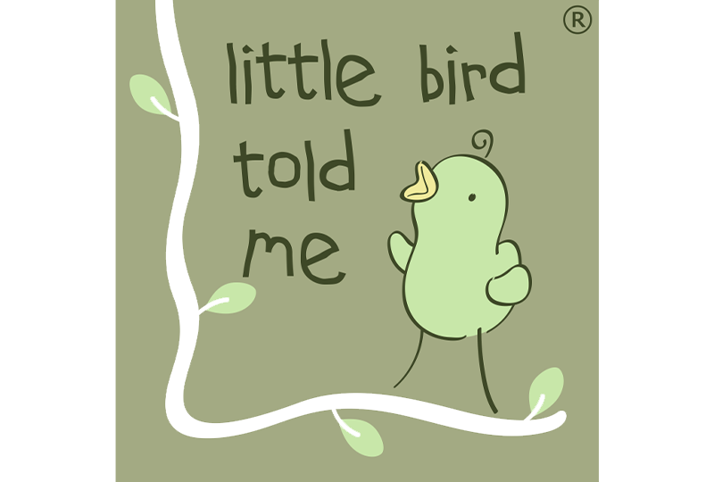 little-bird-told-me-transparent-Natural Baby Shower