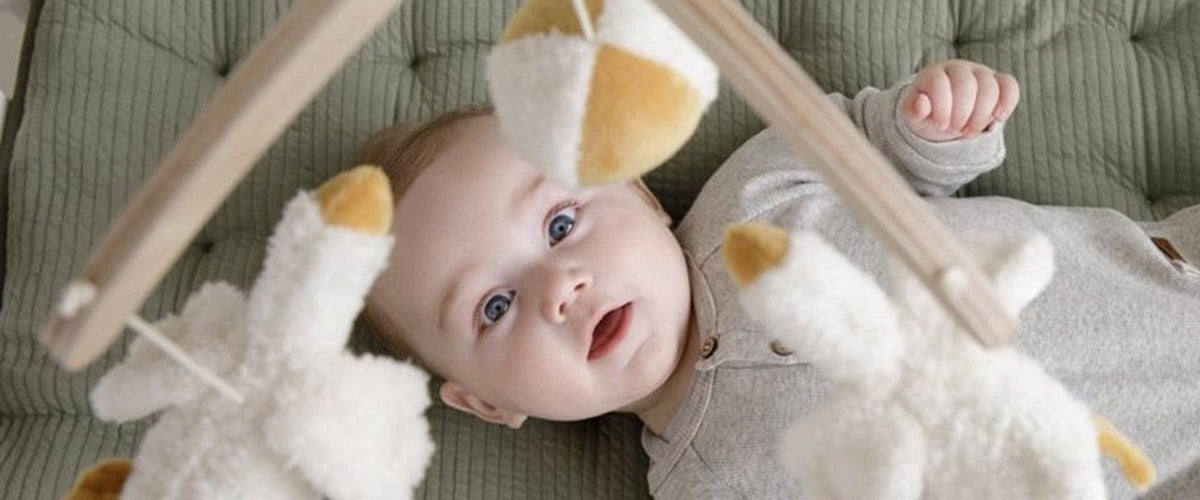 little-dutch-little-goose-collection-banner-Natural Baby Shower