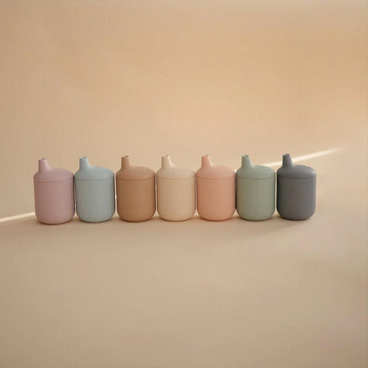 Mushie Silicone Sippy Cup - Blush-Sippy Cups-Blush-175ml | Natural Baby Shower