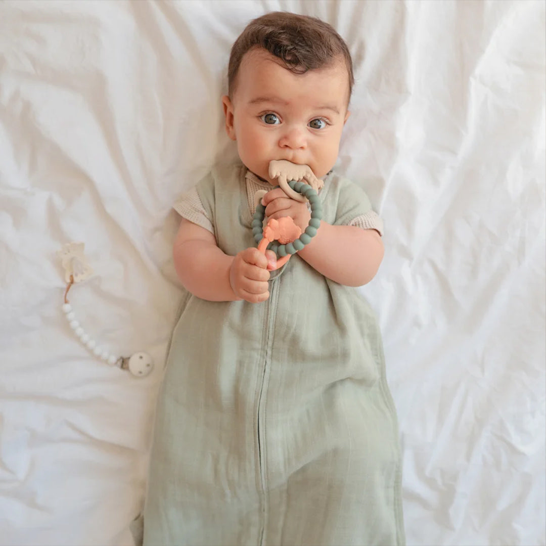 Mushie Teething Ring - Dinosaurs