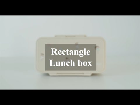 Citron Rectangle Lunchbox - Ballerina