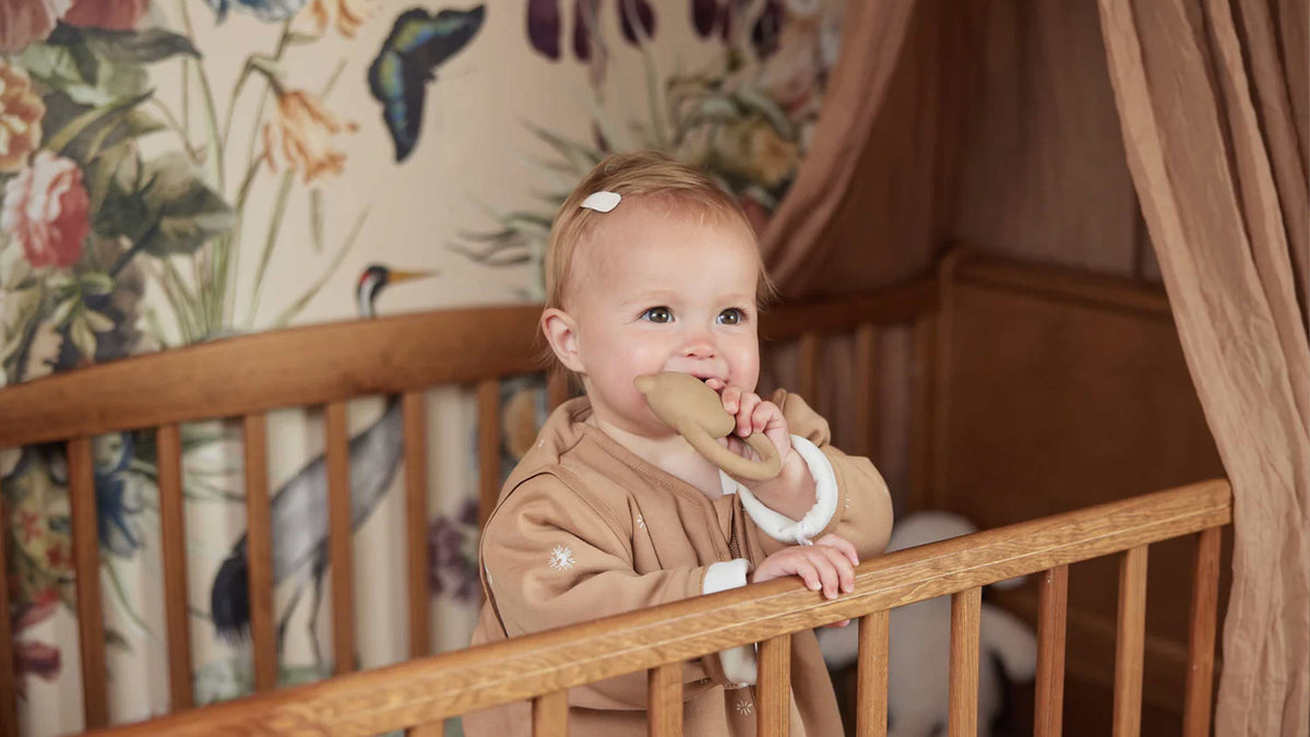 teething-tootthcar-hero-banner | Natural Baby Shower