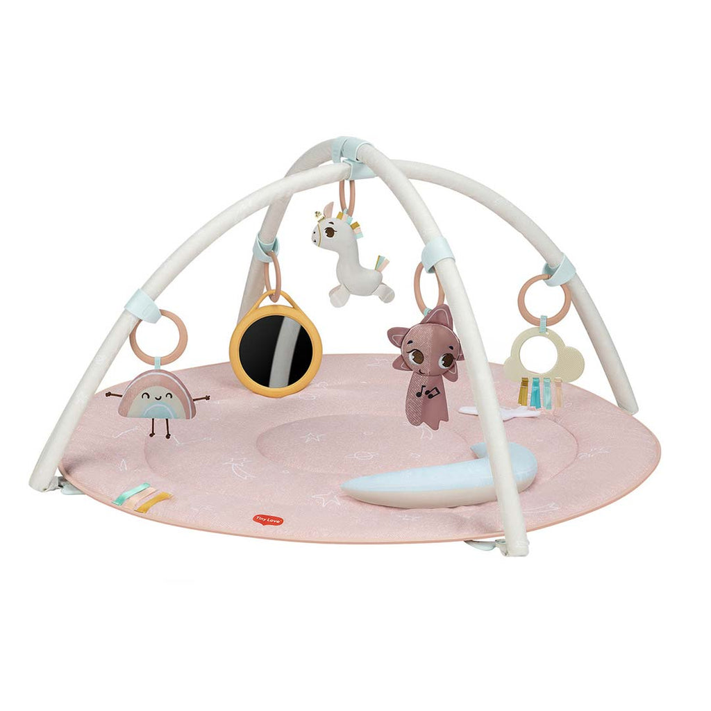 tiny-love-classic-gymini-