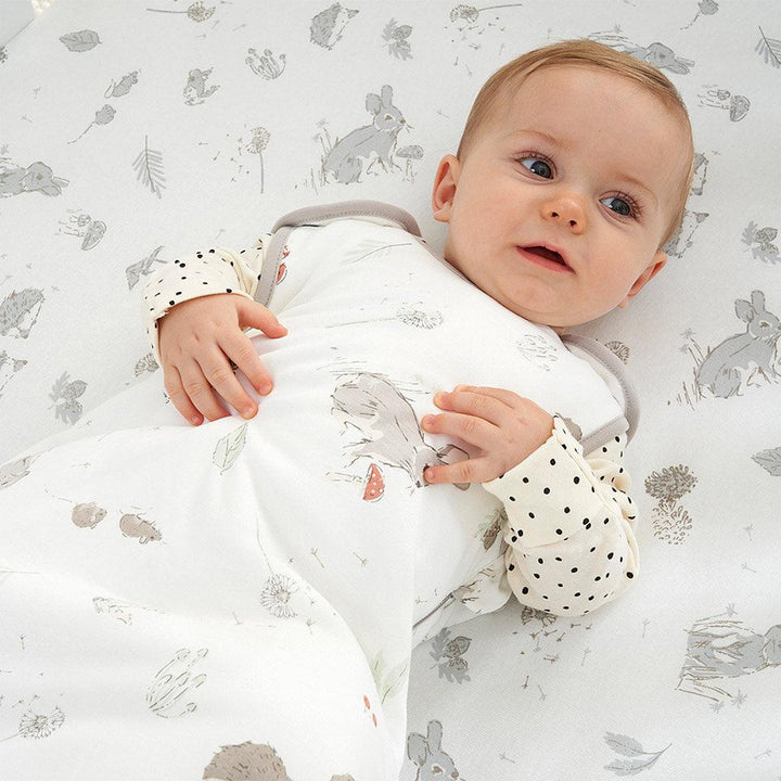 Tutti Bambini Baby Sleeping Bag - Cocoon-Sleeping Bags-Cocoon-0-6m | Natural Baby Shower