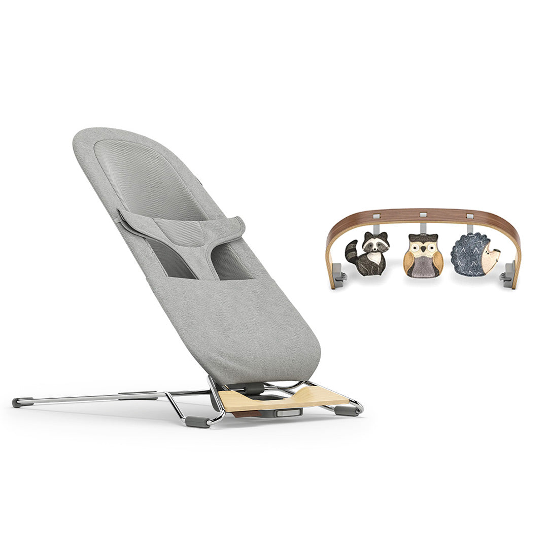 baby bjorn bouncer vs uppababy mira UPPABaby Mira Baby Bouncer