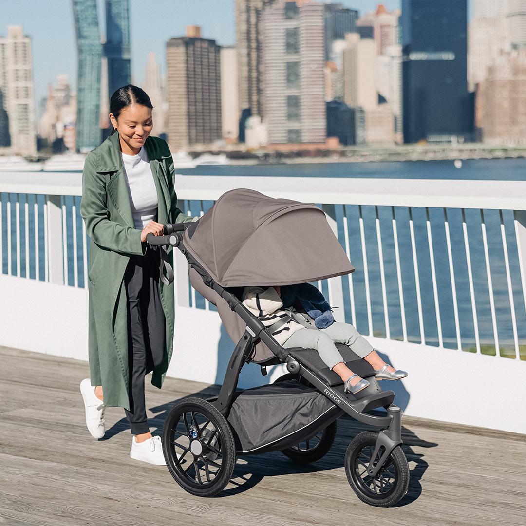 UPPAbaby RIDGE Pushchair - Theo-Strollers- | Natural Baby Shower